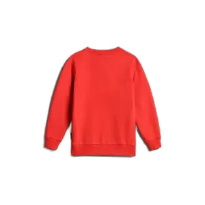 Sweatshirt round neck child Napapijri Beri 1 image-1