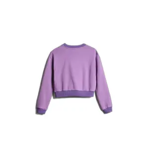 Sweatshirt child Napapijri B-Viken image-3