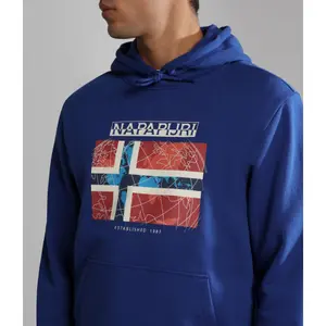 Sudadera con capucha Napapijri Guiro image-5