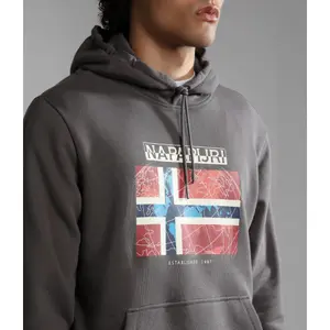 Sweatshirt à capuche Napapijri Guiro image-5