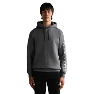 Napapijri Badas 1 Hoodie image-1