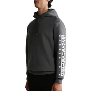 Napapijri Badas 1 Hoodie image-5
