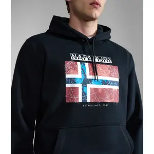 Sweatshirt à capuche Napapijri Guiro image-5