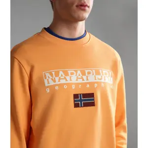 Sudadera Napapijri Ayas image-5