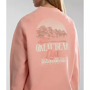 Sudadera Napapijri B-Boyd C image-6