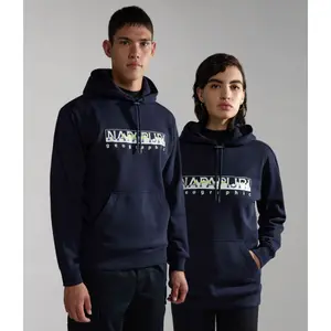 Sudadera con capucha Napapijri Telemark image-1