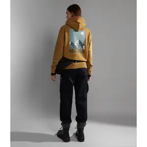 Parka con capucha Napapijri Telemark image-5