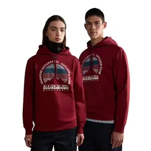 Parka con capucha Napapijri Telemark image-1