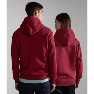 Parka con capucha Napapijri Telemark image-5