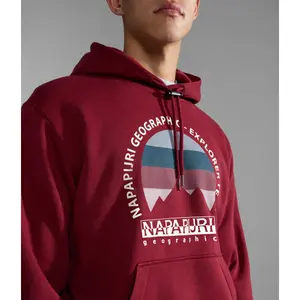 Parka con capucha Napapijri Telemark image-6