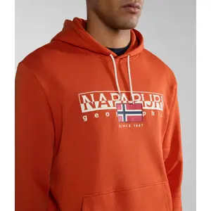 Sudadera con capucha Napapijri Aylmer image-3