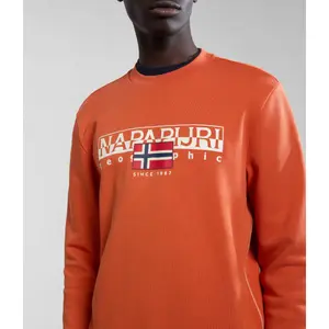 Sudadera Napapijri Aylmer image-5