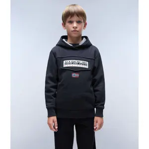 Kids' hoodie Napapijri Burgee 3 image-2