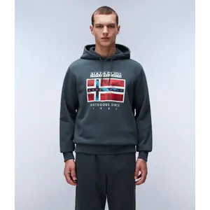 Sudadera con capucha Napapijri B-Dorees image-2