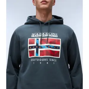 Sudadera con capucha Napapijri B-Dorees image-4