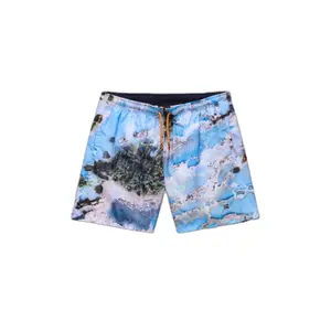 Swim shorts Napapijri Inuvik 1 image-0