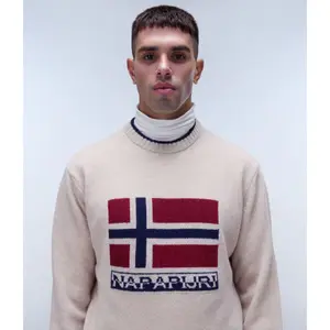 Rundhalsad sweatshirt Napapijri D-Silvretta image-3