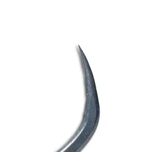 Hook Nash image-2