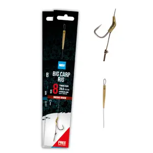 Hook Nash Big Rig Barbless (x6) image-0
