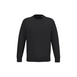Eco-friendly round-neck sweatshirt Native Spirit image-0