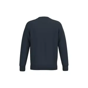 Eco-friendly round-neck sweatshirt Native Spirit image-1