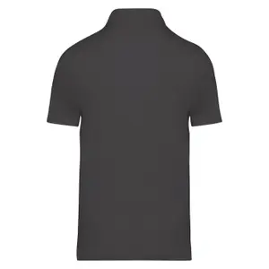 Polo Native Spirit image-1