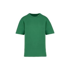 ns306-greenfield-children-s-drop-sleeve-t-shirt-native-spirit-green-field