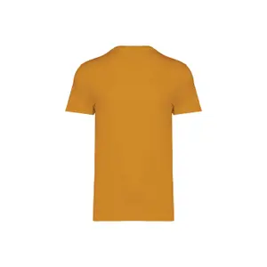 T-shirt ecológica de tamanho grande Native Spirit image-1