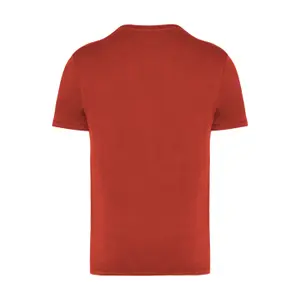 Faded T-shirt Native Spirit image-1