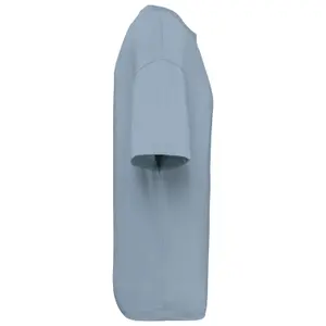 T-shirt écoresponsable oversize Native Spirit image-2