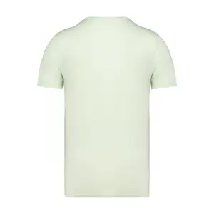 Faded T-shirt Native Spirit image-1