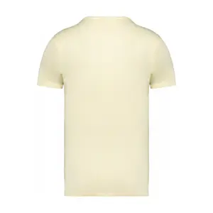 Faded T-shirt Native Spirit image-2