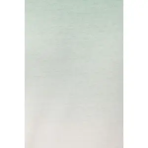 T-shirt Native Spirit Dip Dye image-4