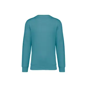 Sweatshirt col rond écoresponsable Native Spirit image-1