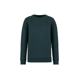 Sweatshirt col rond écoresponsable Native Spirit image-0