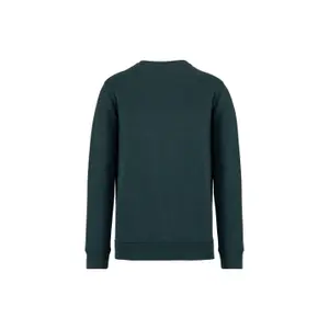 Sweatshirt col rond écoresponsable Native Spirit image-1