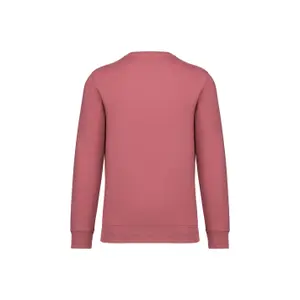 Sweatshirt col rond écoresponsable Native Spirit image-1