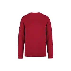 Sweatshirt col rond écoresponsable Native Spirit image-1