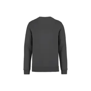 Sweatshirt col rond écoresponsable Native Spirit image-1