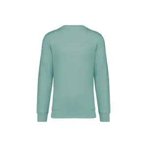 Sweatshirt col rond écoresponsable Native Spirit image-1