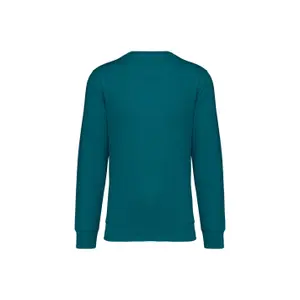 Sweatshirt col rond écoresponsable Native Spirit image-1