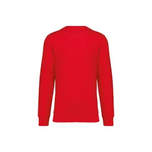 Sweatshirt col rond écoresponsable Native Spirit image-1