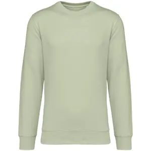 Sweatshirt Native Spirit image-0