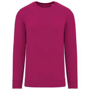 Sweatshirt Native Spirit image-0