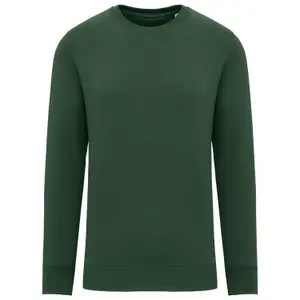 Sweatshirt Native Spirit image-0