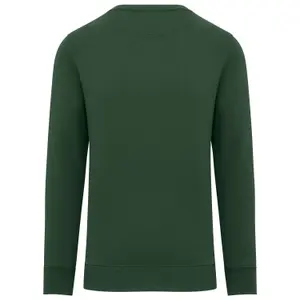 Sweatshirt Native Spirit image-1