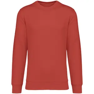 Sweatshirt Native Spirit image-0