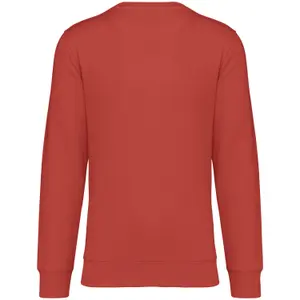 Sweatshirt Native Spirit image-1