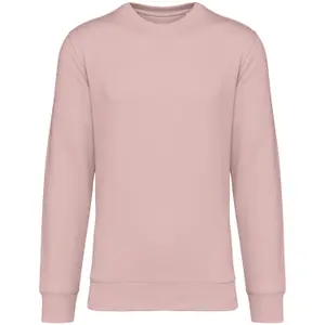 Sweatshirt Native Spirit image-0