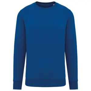 Sweatshirt Native Spirit image-0